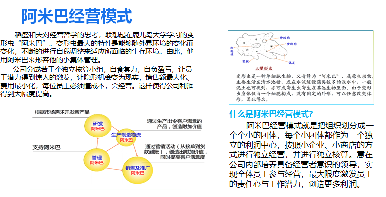 什么是阿米巴经营模式